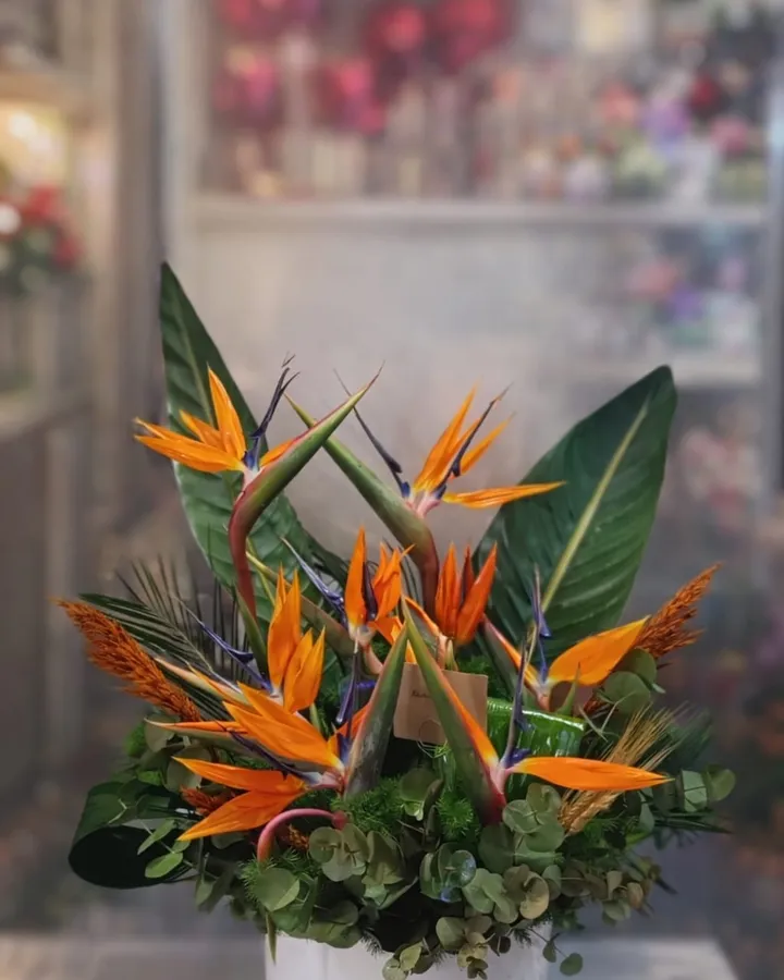 Cennet Kuşu Premium Aranjman – Masal's Flower Garden