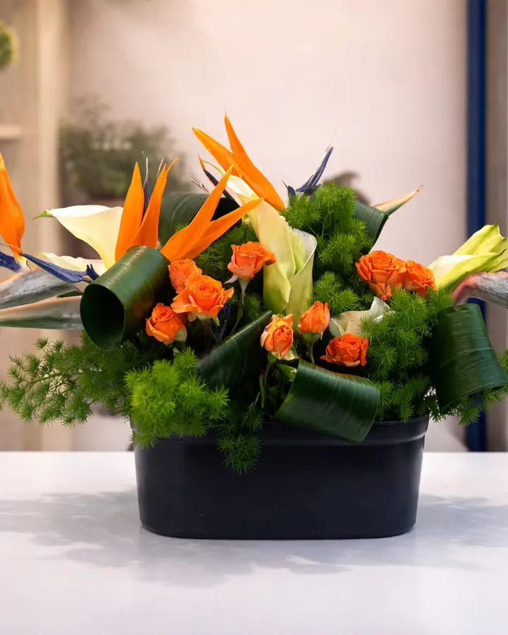 Tropik Zarafet – Masal's Flower Garden