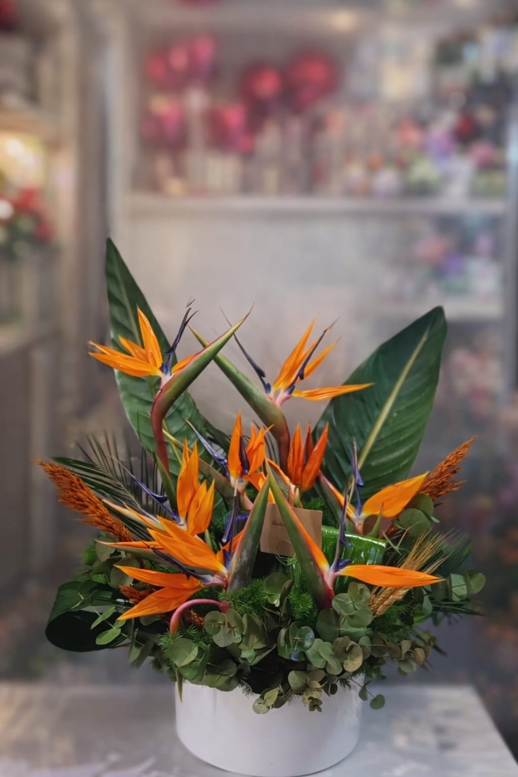 Cennet Kuşu Premium Aranjman